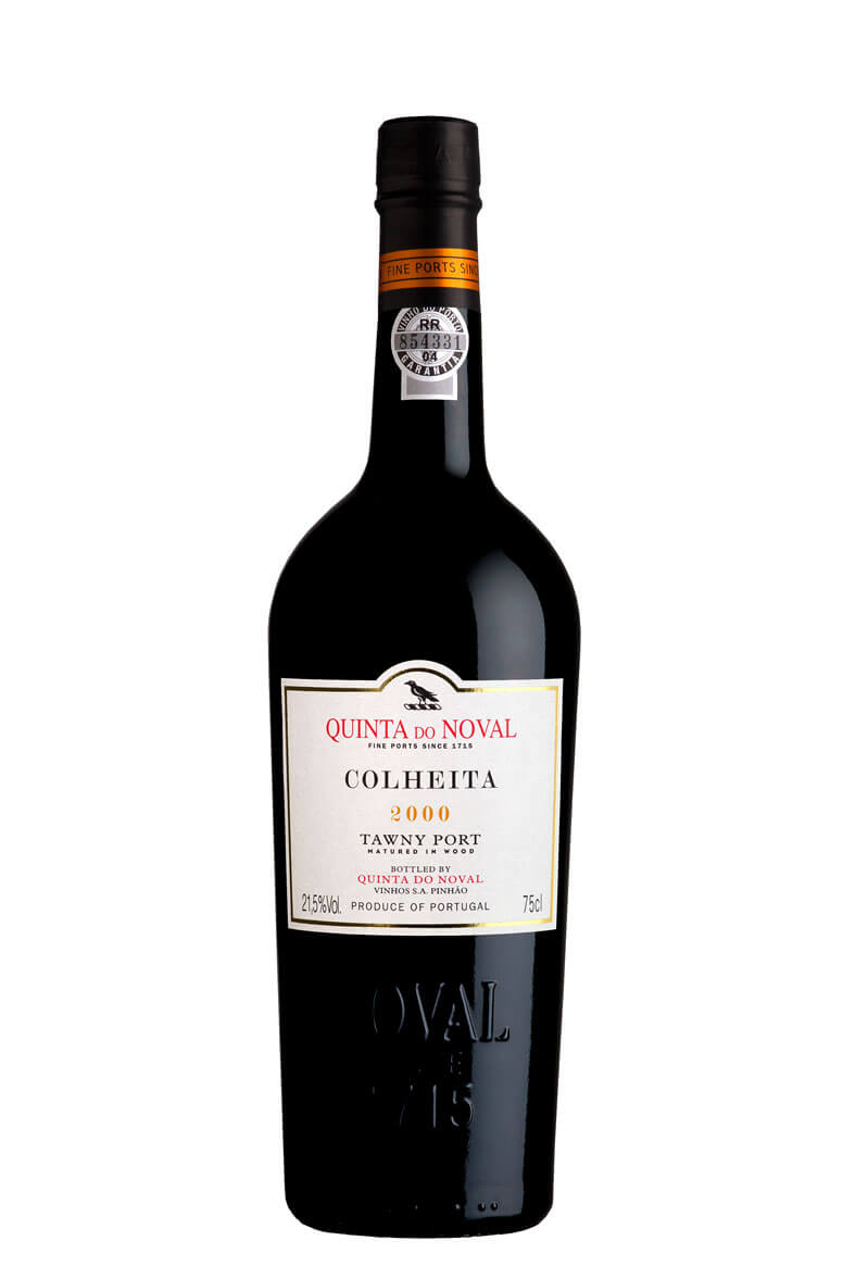 コルヘイタ トゥニー ポート